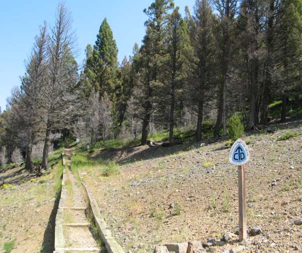 Continental Divide Trail at Flesher Pass