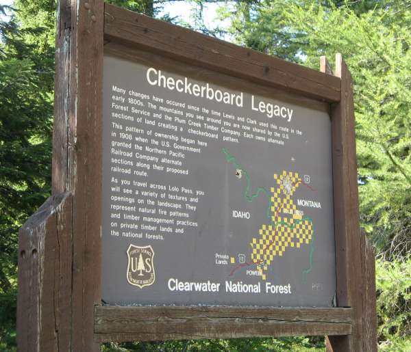 Why Checkerboard Forests
