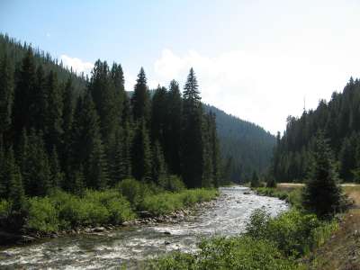 Locksa River in Clearwater NF