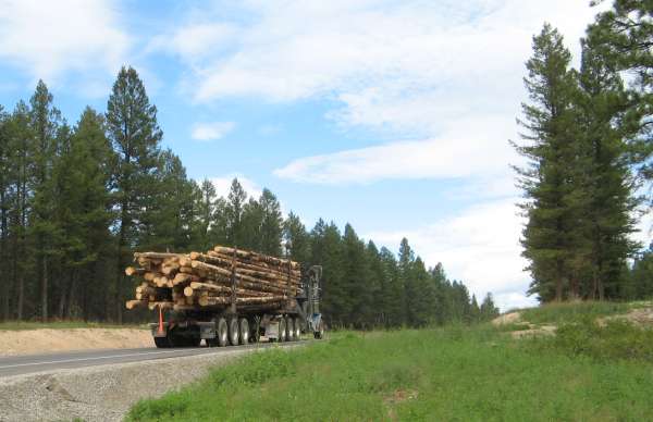 Log Truck, Common in the West