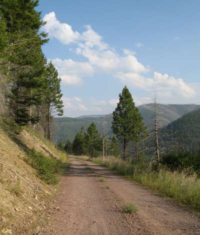 Road Up To Holloman Saddle