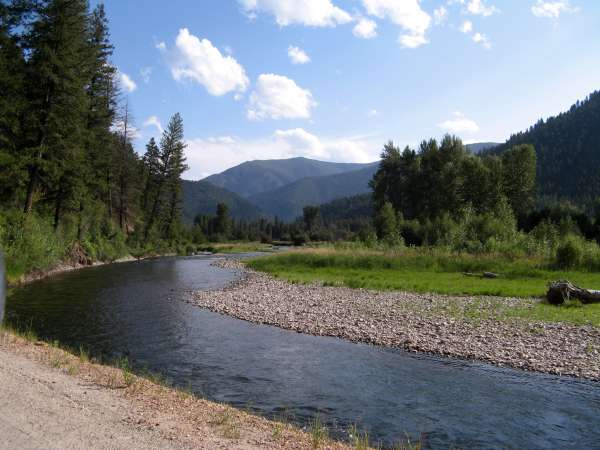 Rock Creek - Gold Medal Trout Waters