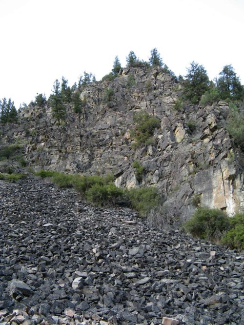 Scree Slope, Home of the Pika