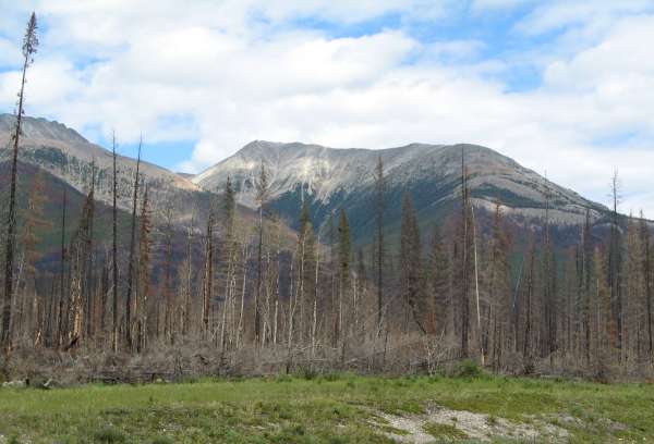 Recent  Forest Fire East of Banff NP, AB