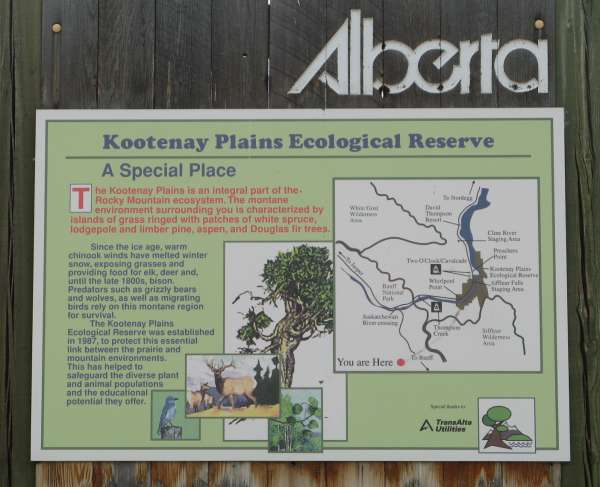 Kootenay Plains, East of Rockies, AB