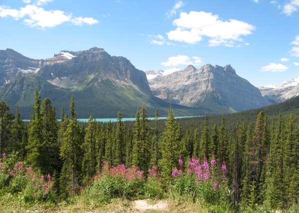 Glaciers, Icefields Parkway, AB