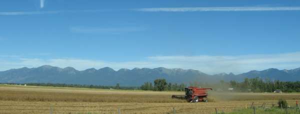 Flathead Valley Harvest