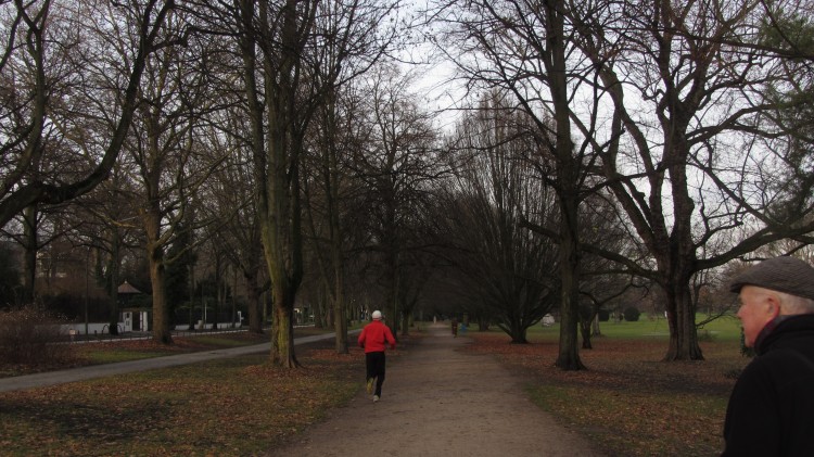 Running, Walking, Cycling Paths through Alster Park