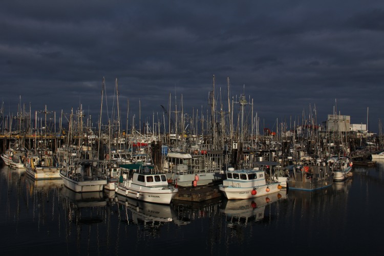 French Creek Fishing Harbour