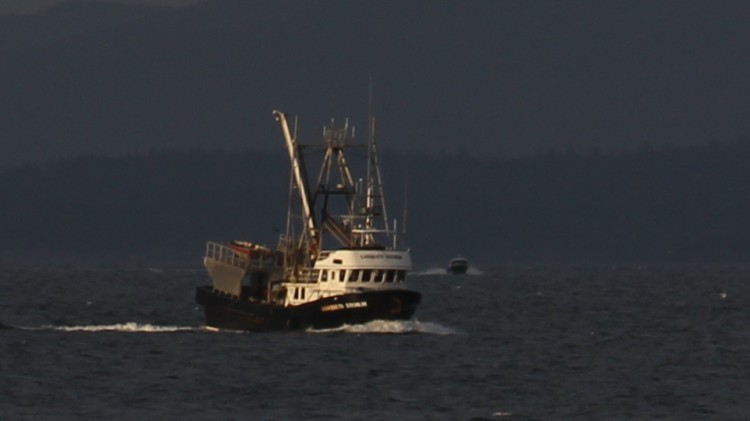 Fishing Boat Headed into French Creek Harbour