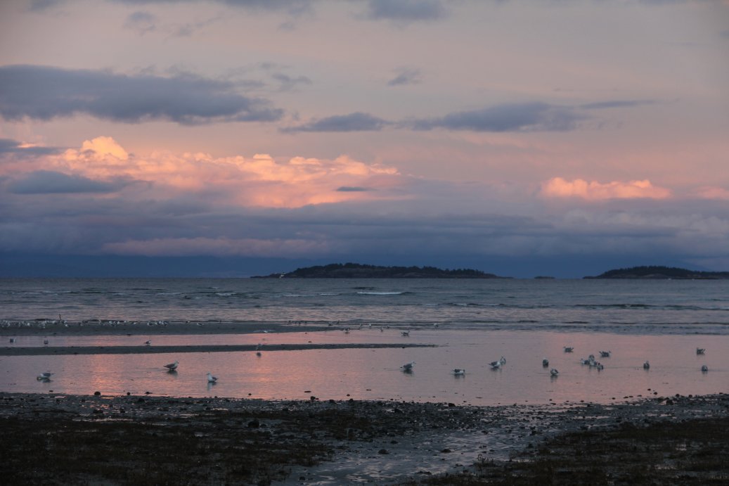 from Rathtrevor Provincial Park ...