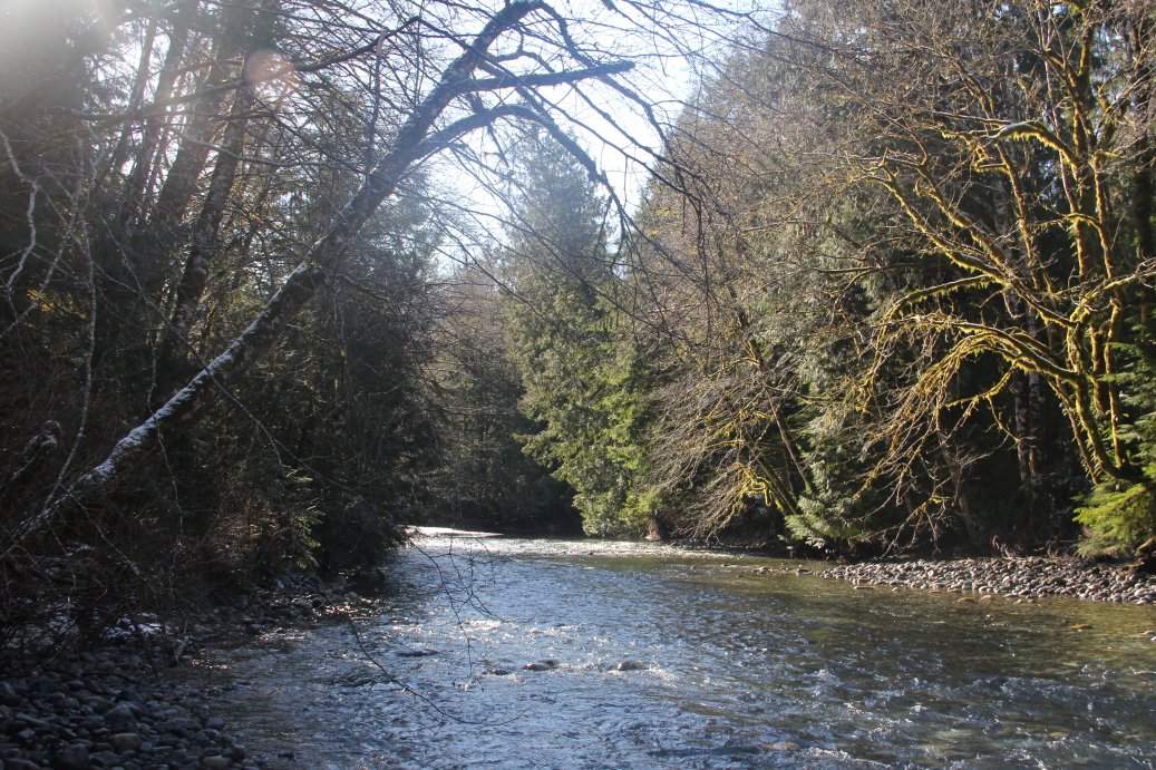 Rosewell Creek